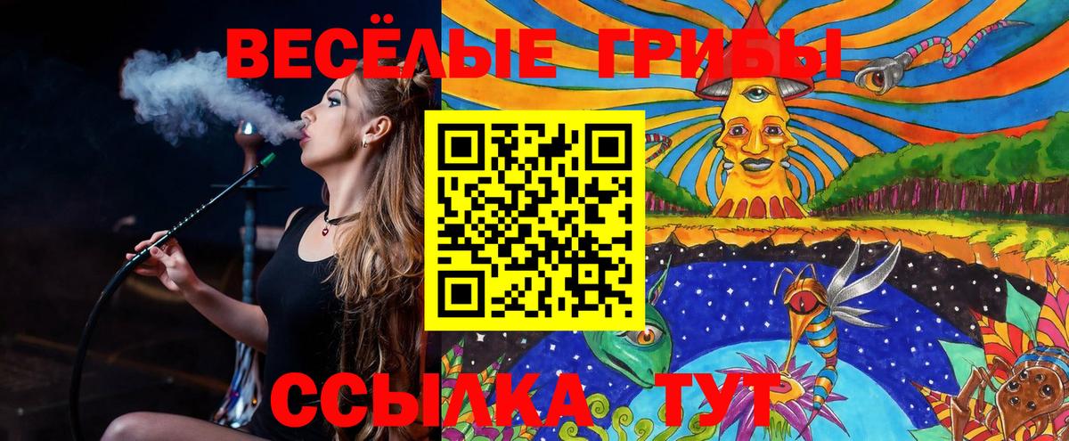 Псилоцибиновые грибы GOLDEN TEACHER  Вход с VPN  Псилоцибиновые грибы Cubensis  Шебекино 
